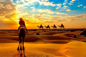 Rajasthan Tour
